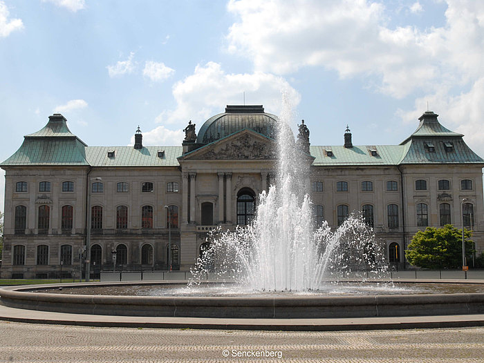 Staatliches Museum für Tierkunde