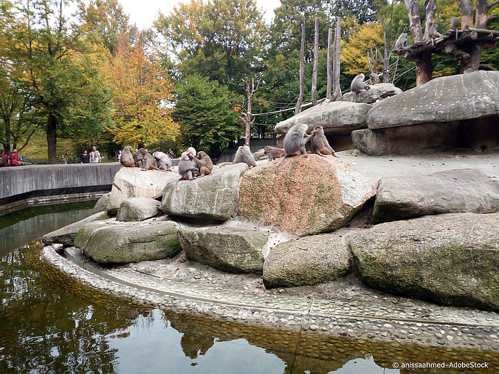 Tierpark Hellabrunn