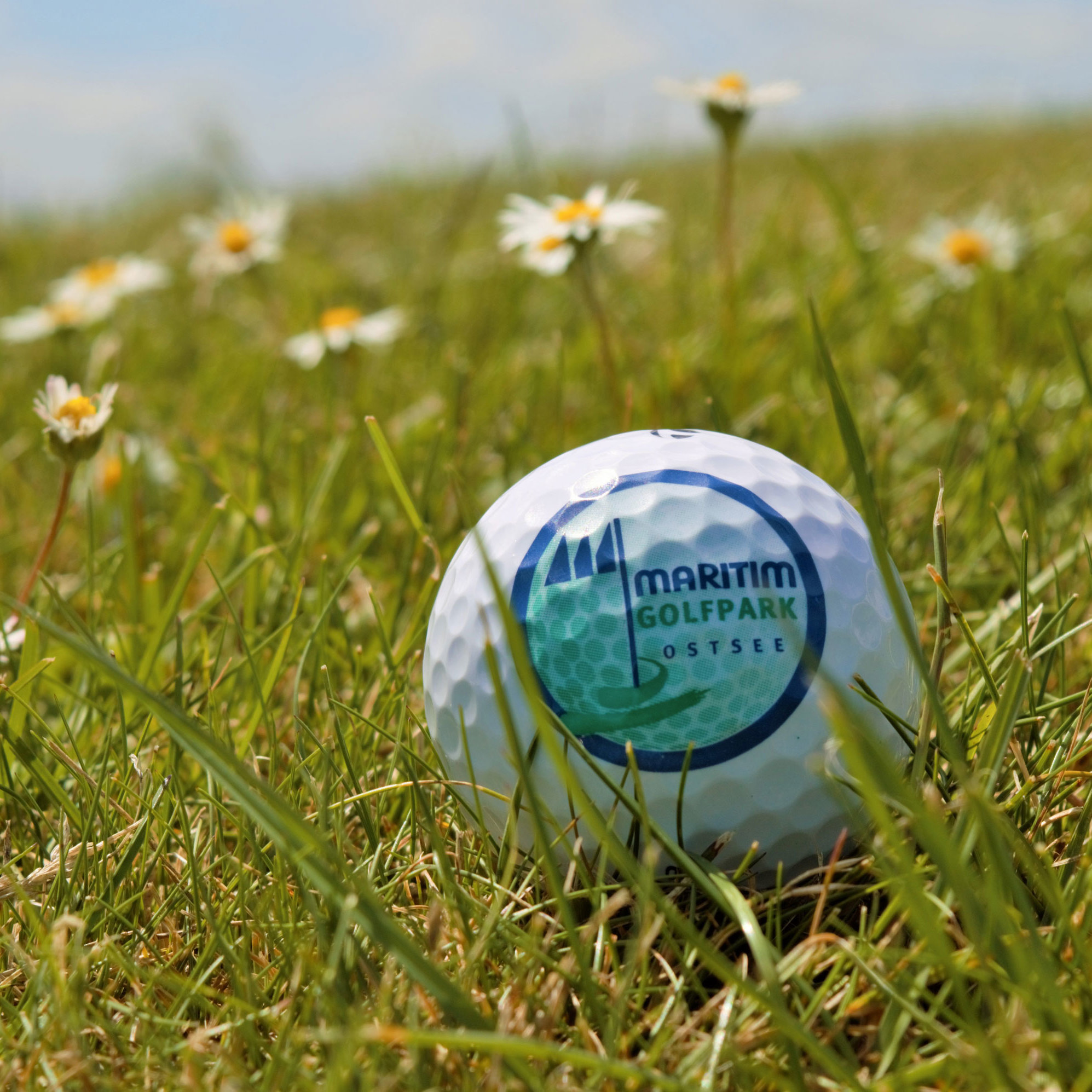Golfball | Maritim Golfpark Ostsee