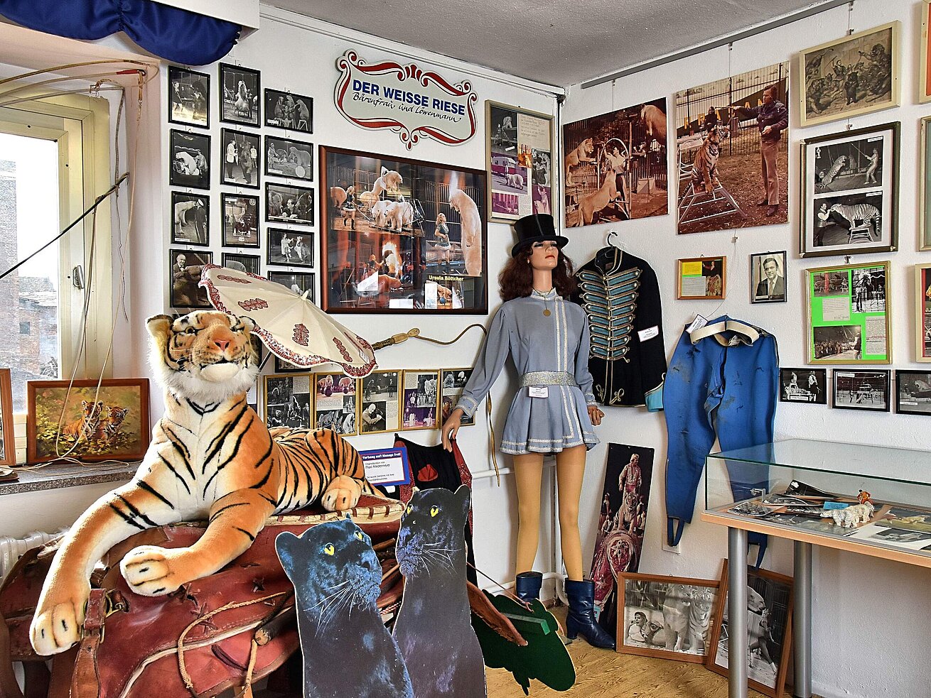 Zirkusmuseum Innenraum eines Zirkusmuseums mit Kostümen, Bildern und Erinnerungsstücken an Zirkuskunst.