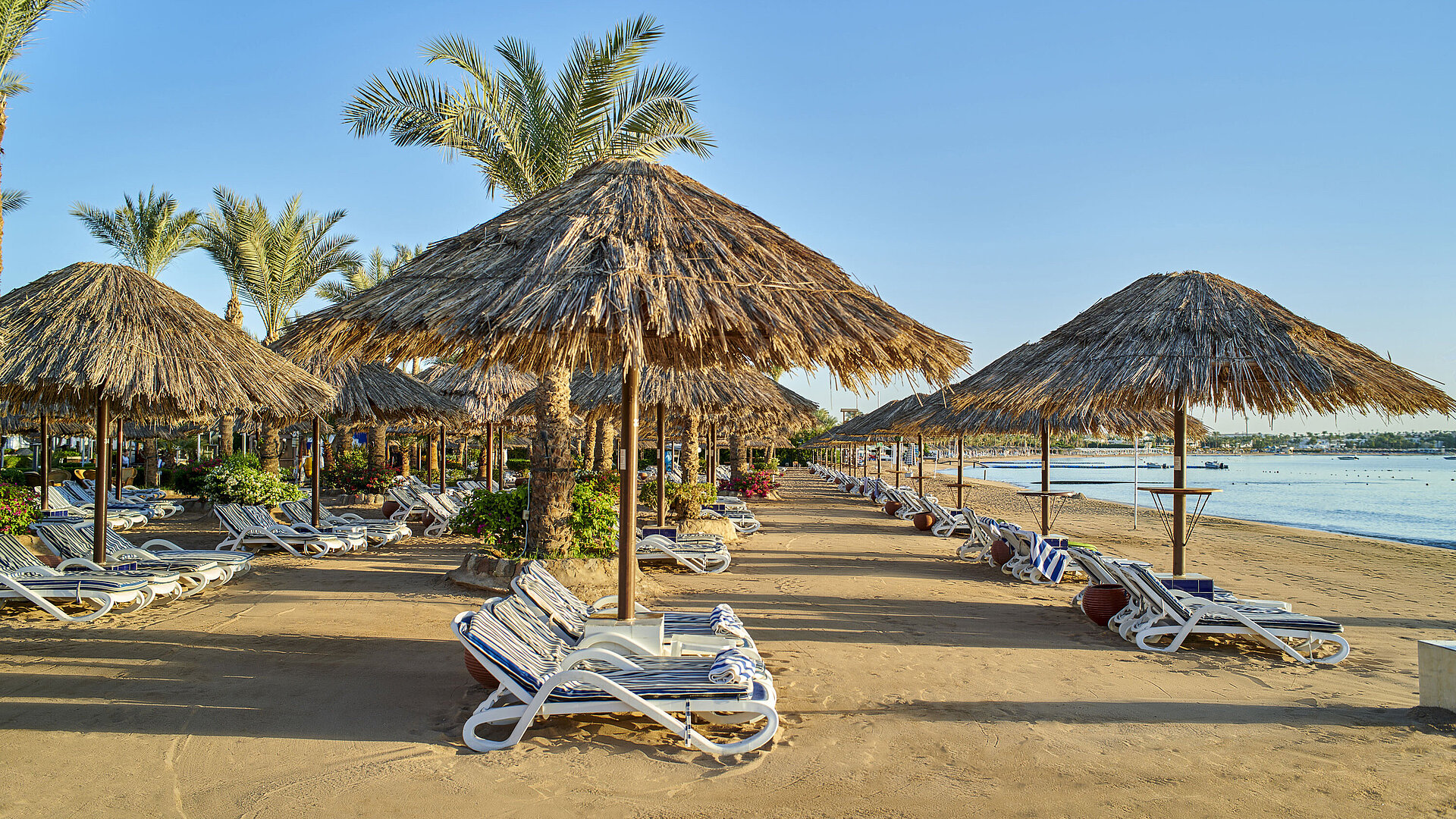 Strand | Maritim Hotel Sharm El Sheikh