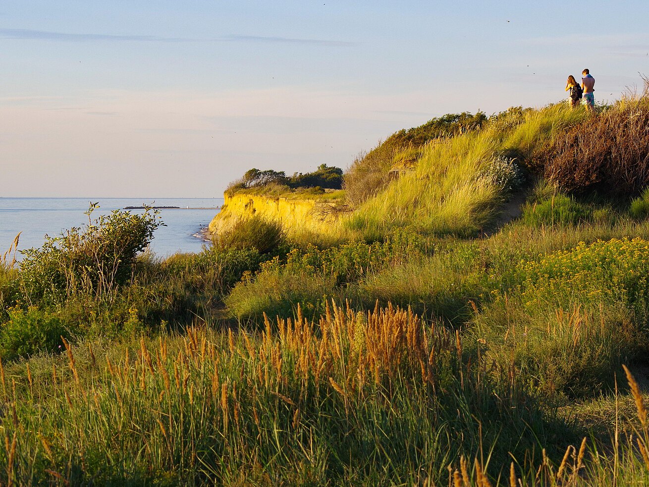 Steilküste Ostsee Eine grün bewachsene Steilküste am Meer im warmen Abendlicht, mit zwei Personen, die den Ausblick genießen.