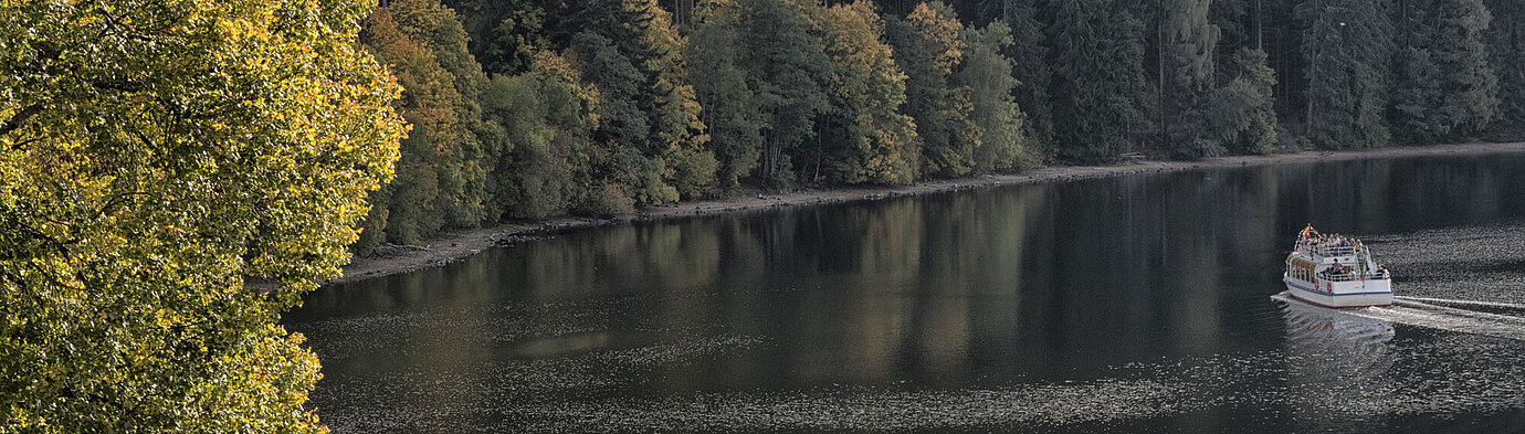Blick auf den Titisee mit bewaldetem Ufer und herbstlicher Natur im Hochschwarzwald.