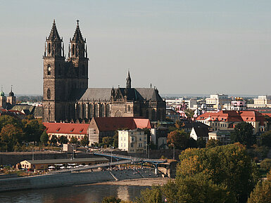 Der Magdeburger Dom mit grünen Bäumen und Blick auf die Elbe, umgeben von historischen Gebäuden.