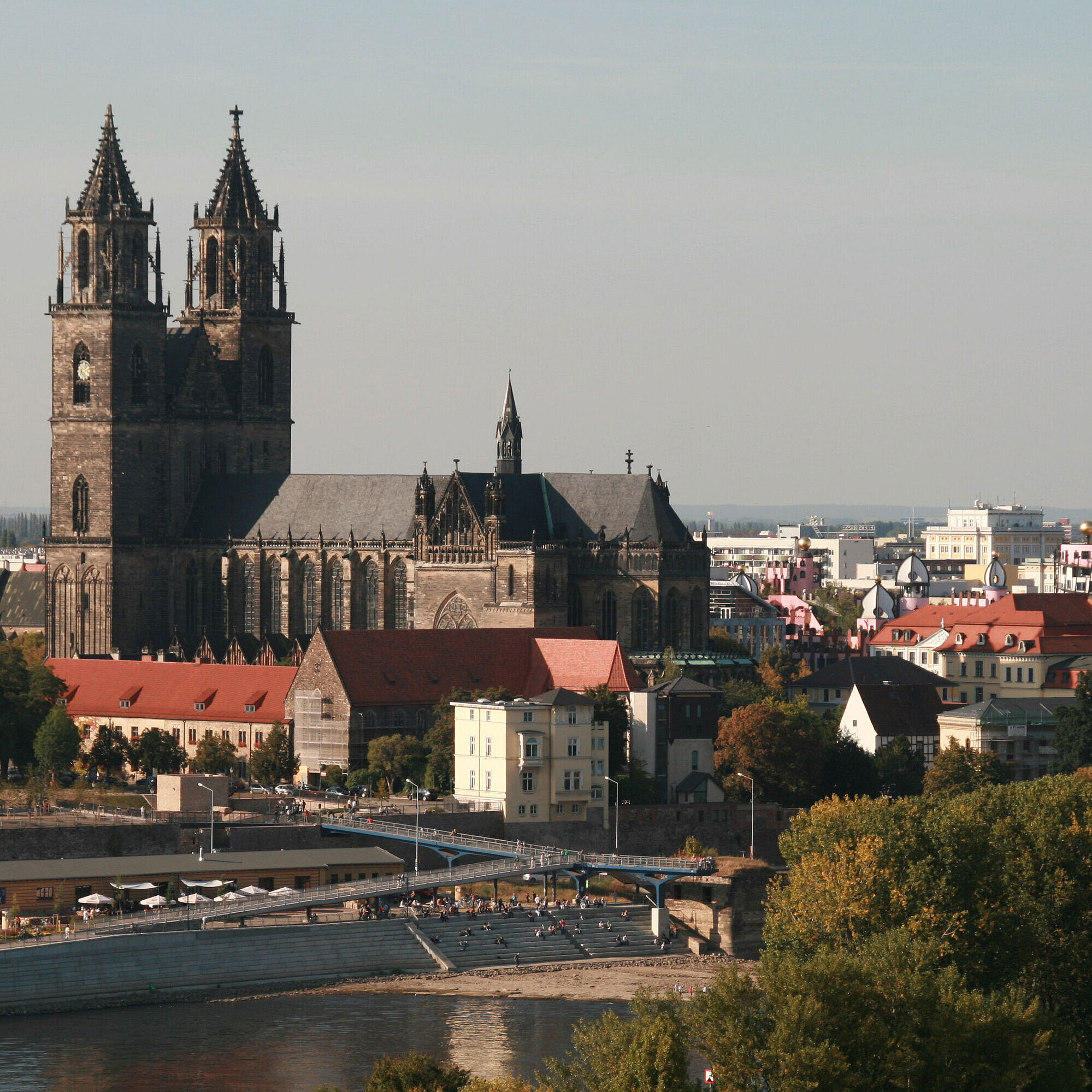 Der Magdeburger Dom mit grünen Bäumen und Blick auf die Elbe, umgeben von historischen Gebäuden.