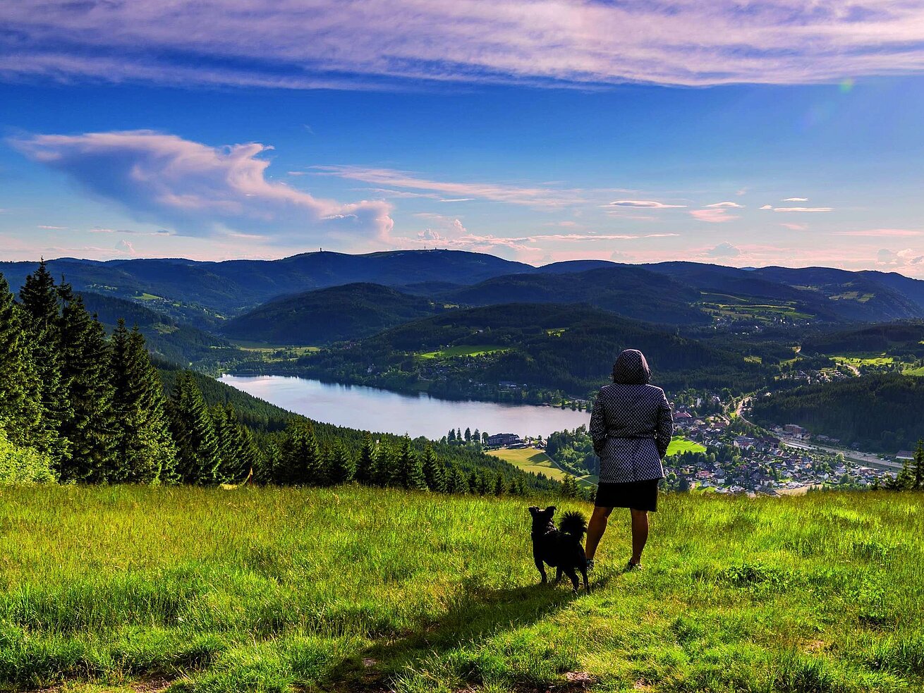 Wanderin mit Hund über dem Titisee im Schwarzwald Frau mit Hund genießt den Ausblick auf den Titisee und die Landschaft des Schwarzwalds vom Hochfirst