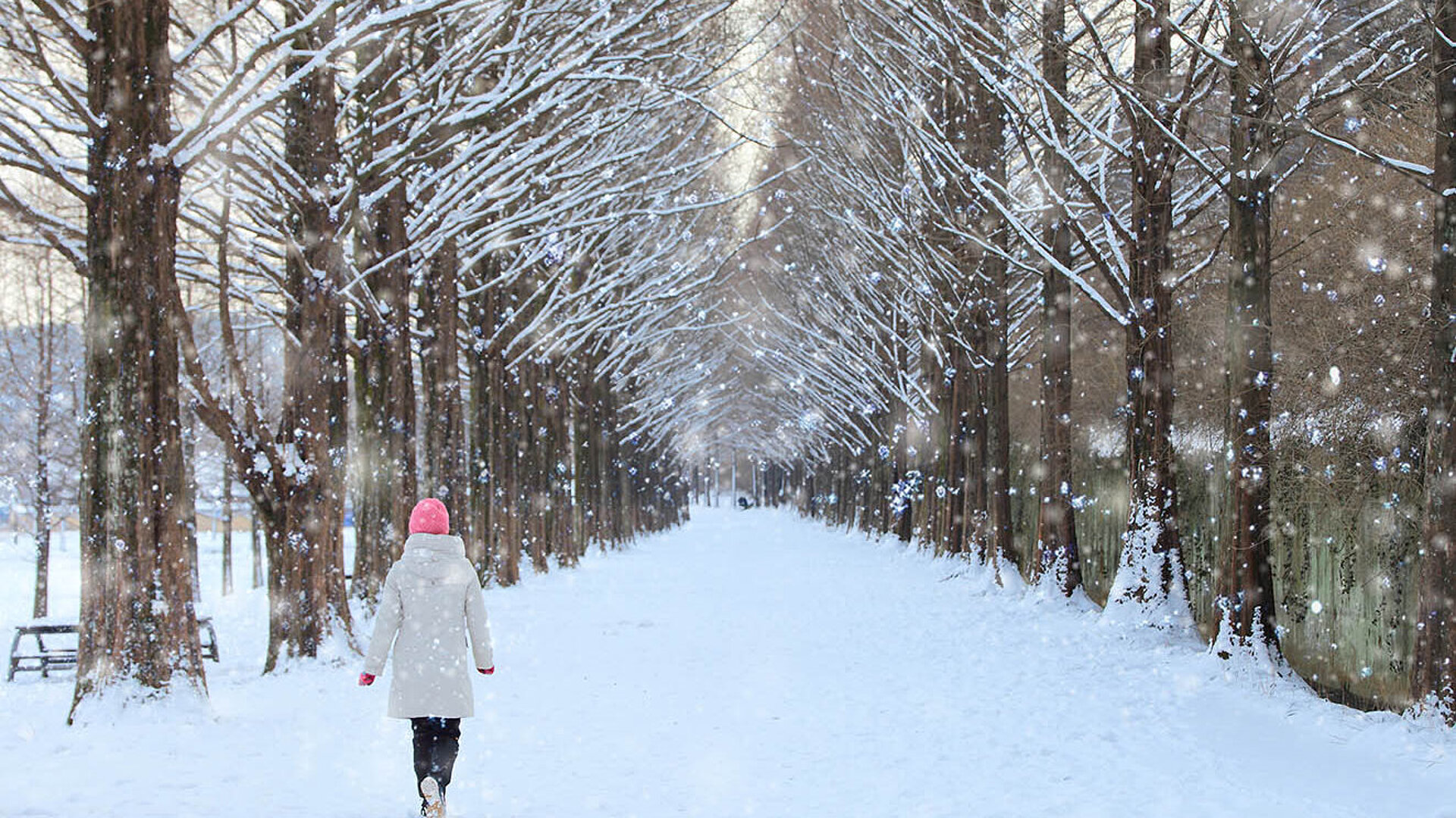 Person spaziert eine verschneite Allee entlang, umgeben von winterlichen Bäumen und sanft fallendem Schnee.