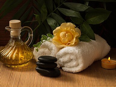 Wellness