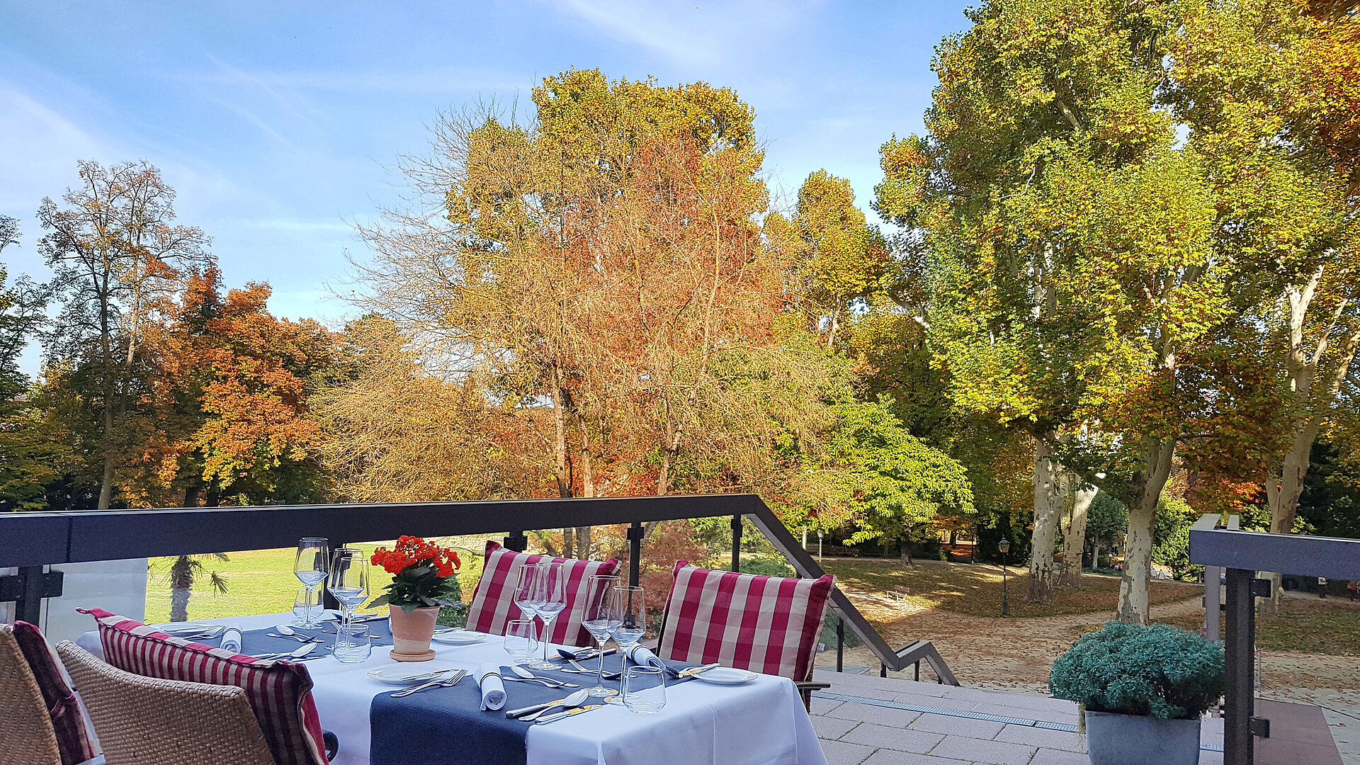 Parkrestaurant mit Sonnenterrasse Herbstliche Terrasse im Maritim Hotel Bad Homburg mit Blick auf bunte Bäume und stilvoll gedecktem Tisch.