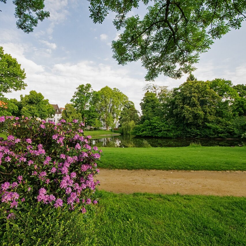 Herrngarten in Darmstadt