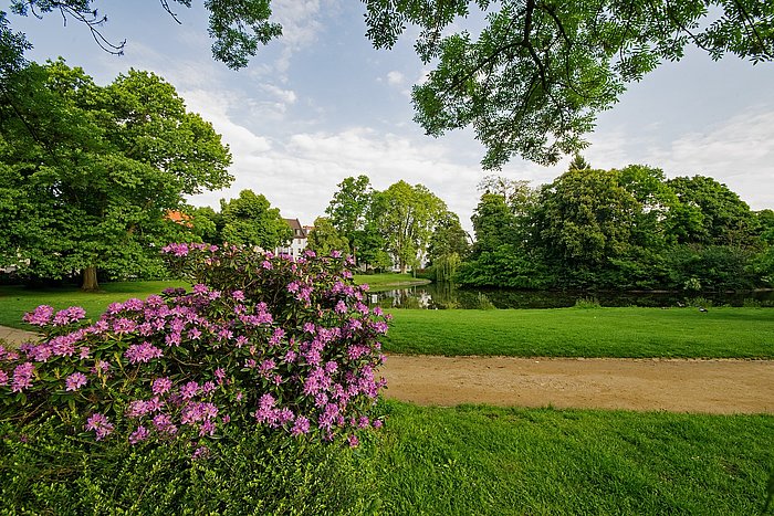 Herrngarten in Darmstadt