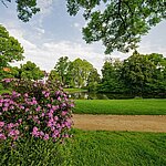 Herrngarten in Darmstadt