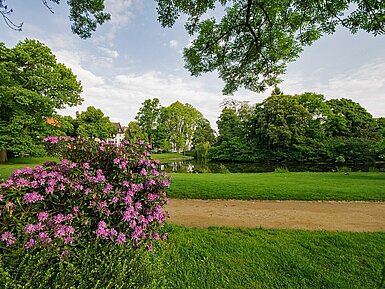 Herrngarten in Darmstadt