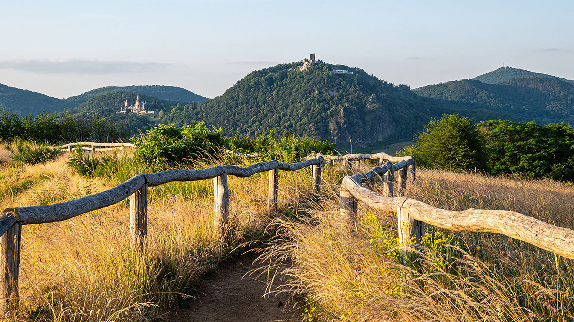 © frakala - AbobeStock.com Wanderweg im Siebengebirge bei Königswinter mit Blick auf bewaldete Hügel und die Naturlandschaft.