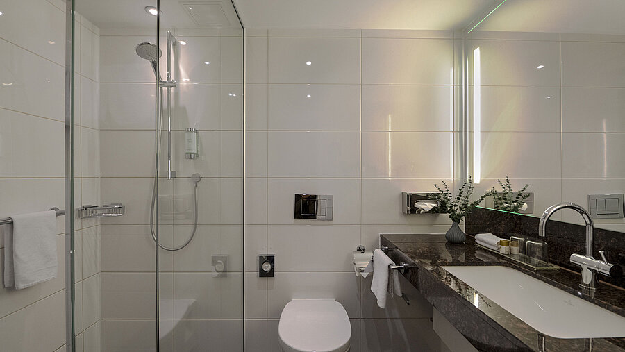 Modernes Badezimmer im Maritim Hotel Darmstadt mit Glasdusche, eleganter Waschbeckenablage und stilvollen Details.