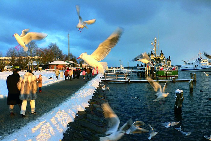 Travepromenade im Winter