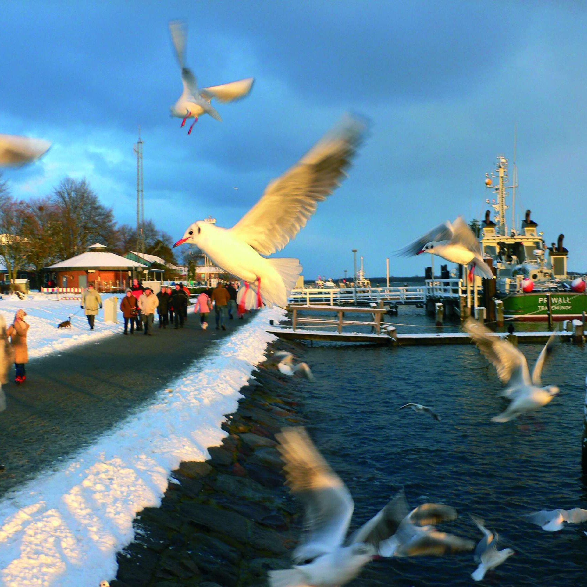 Travepromenade im Winter