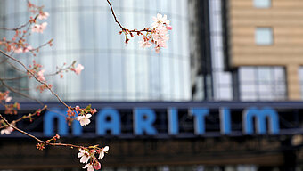 Kirschblütenzweig im Vordergrund, dahinter der Eingang des Maritim Hotels in Bonn mit blauem Schriftzug.