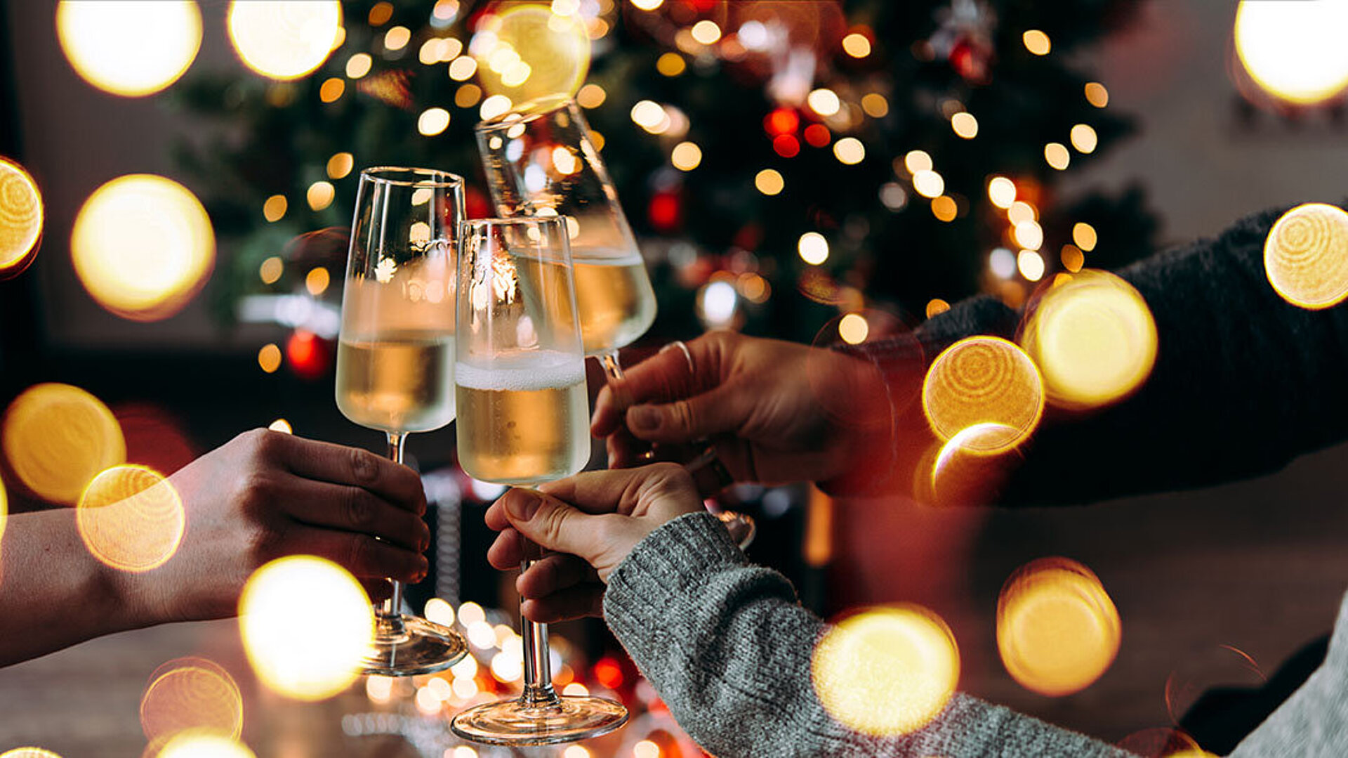© Gregory Lee - AdobeStock.com Drei Personen stoßen mit Sektgläsern vor einem festlich beleuchteten Weihnachtsbaum an