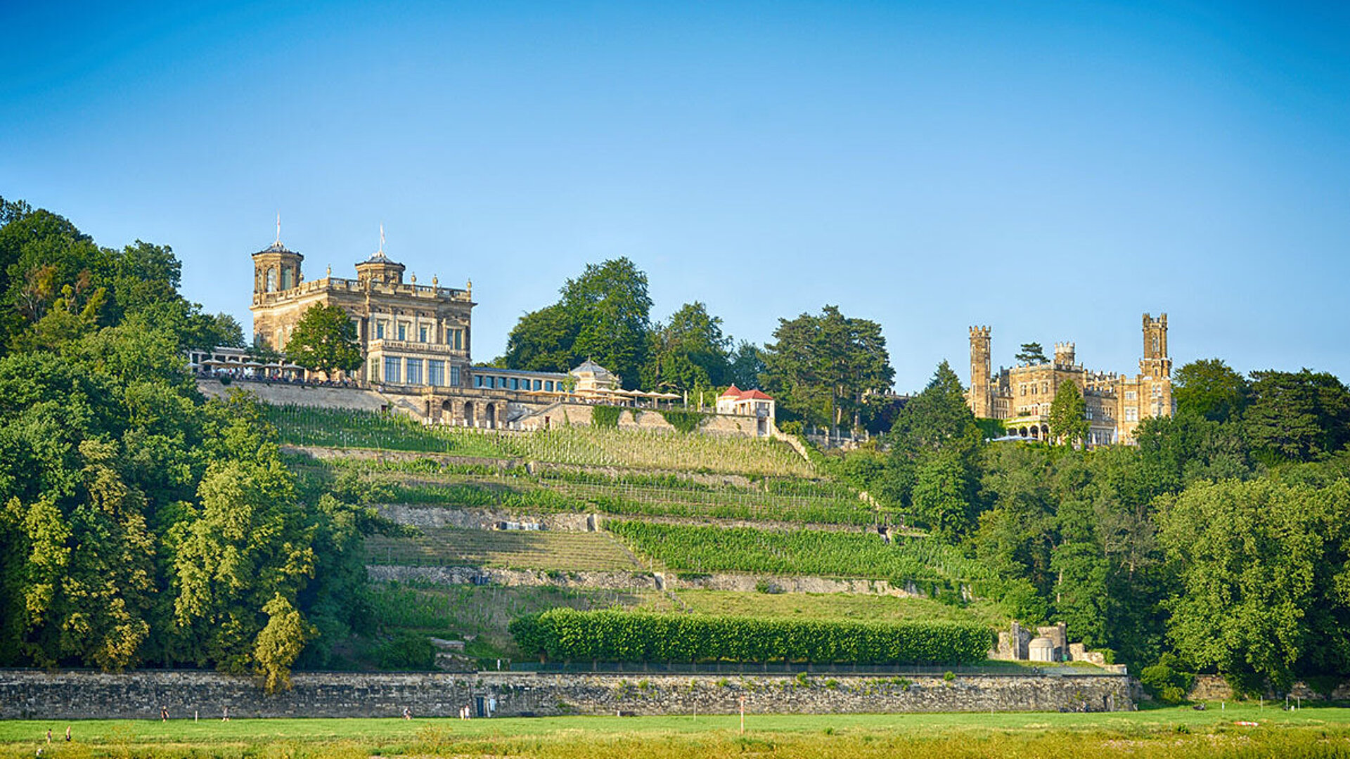 © Sinuswelle - AdobeStock.com Schloss Wackerbarth bei Dresden mit Weinbergen an sonnigem Tag, beliebtes Ausflugsziel und Weingut in Sachsen