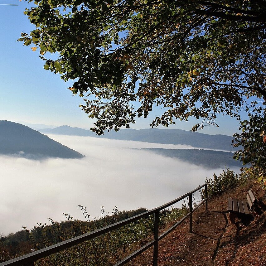 Edersee im Nebel Blick auf den Edersee mit bewaldeten Hängen und Nebel über dem Wasser
