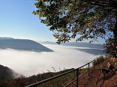Edersee im Nebel Blick auf den Edersee mit bewaldeten Hängen und Nebel über dem Wasser