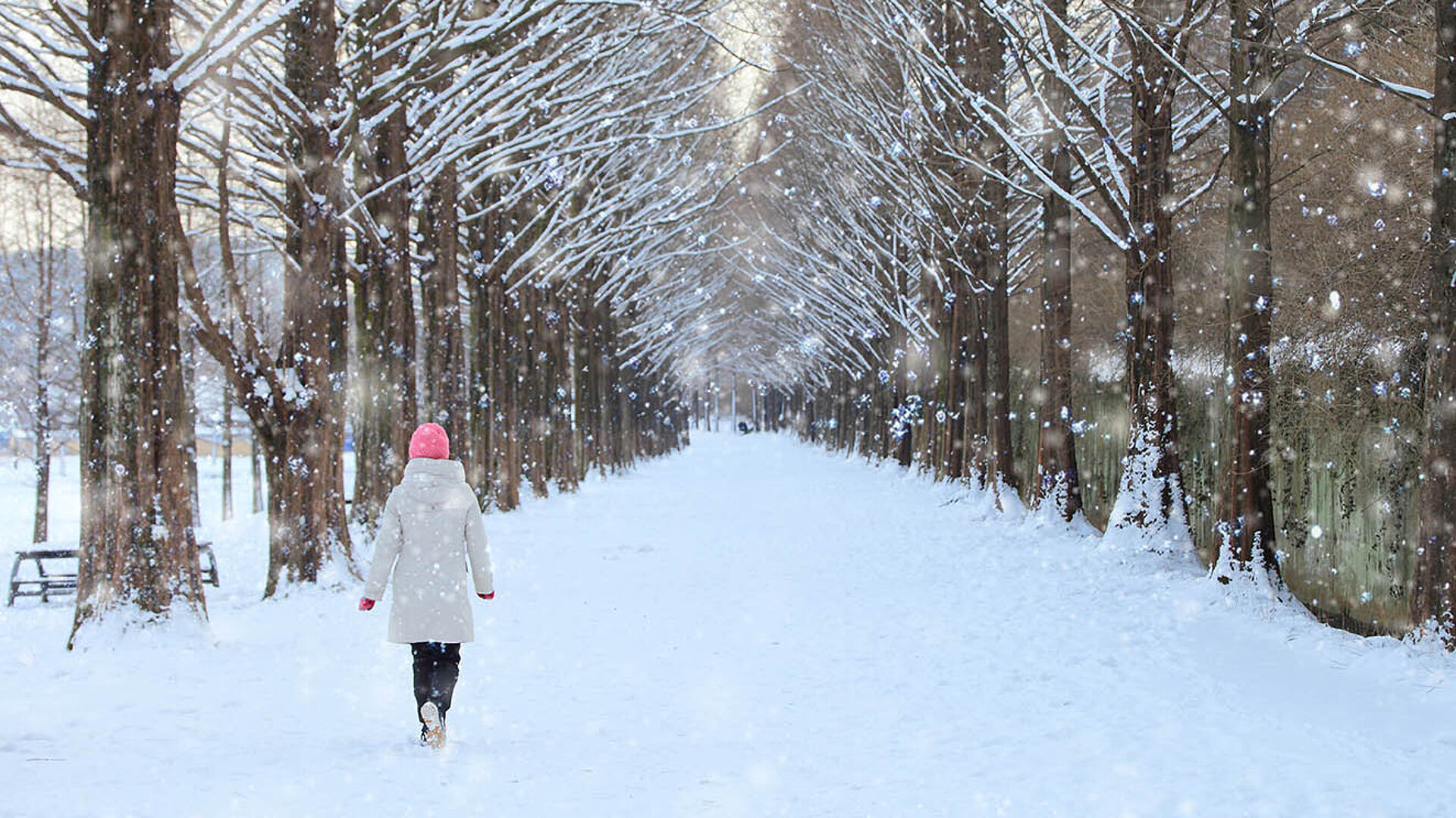 © 미정 최 - AdobeStock.com Person spaziert eine verschneite Allee entlang, umgeben von winterlichen Bäumen und sanft fallendem Schnee.