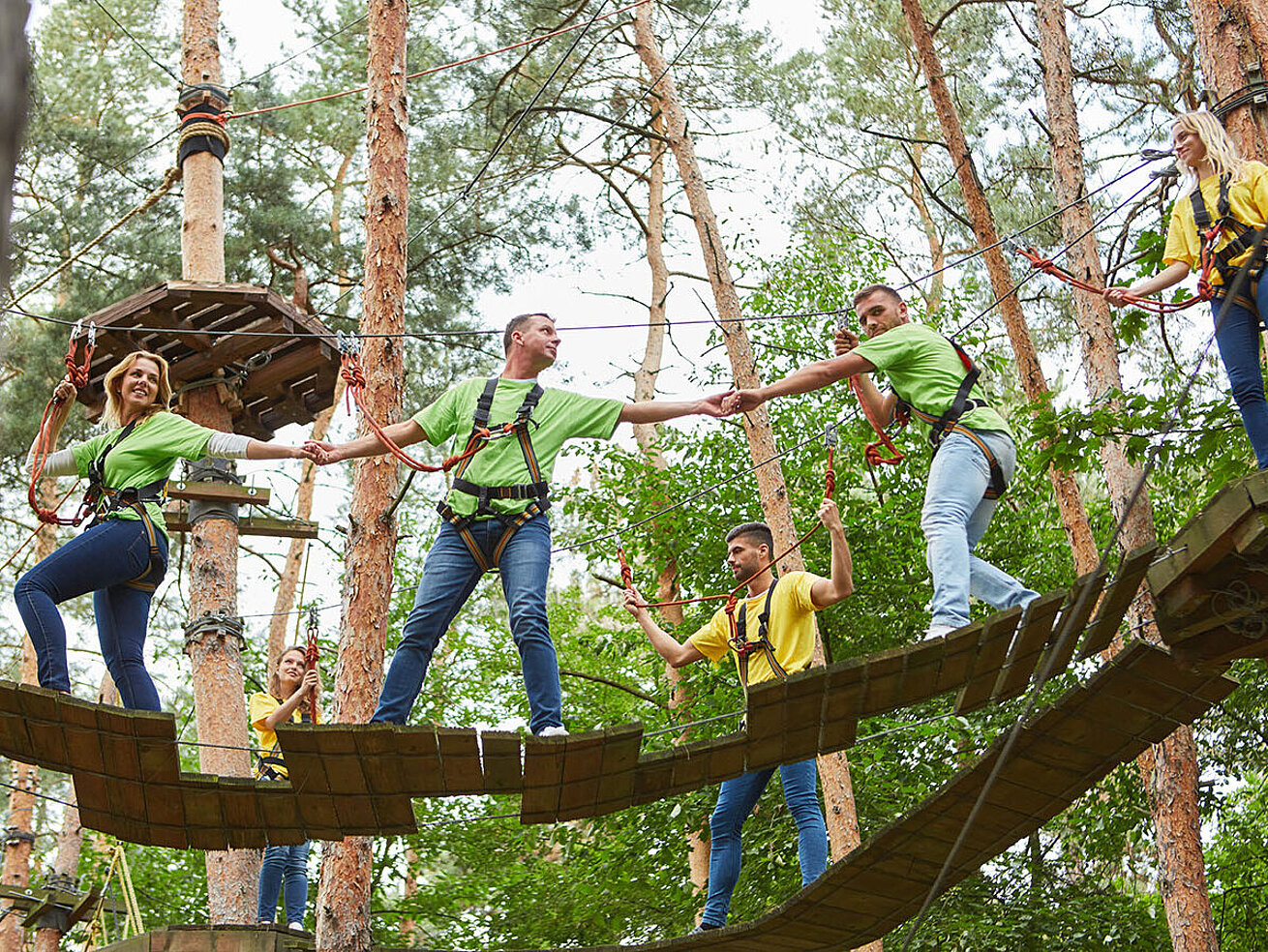 Gruppe von Erwachsenen im Kletterwald balanciert über Seilbrücke zwischen Bäumen im Wald
