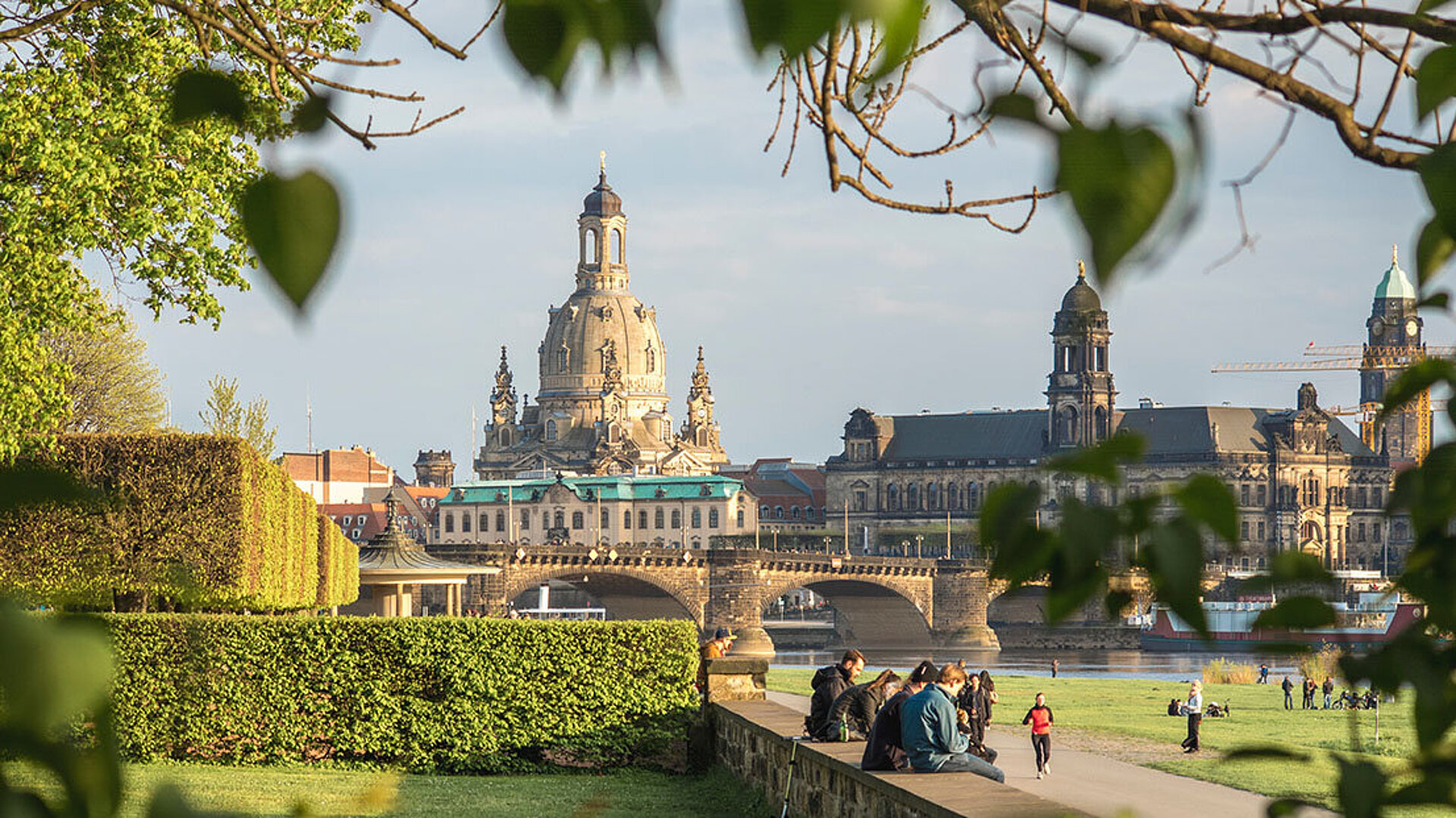 Dresdner Altstadt mit Frauenkirche vom Elbufer aus gesehen, umrahmt von Bäumen und Wiesen.