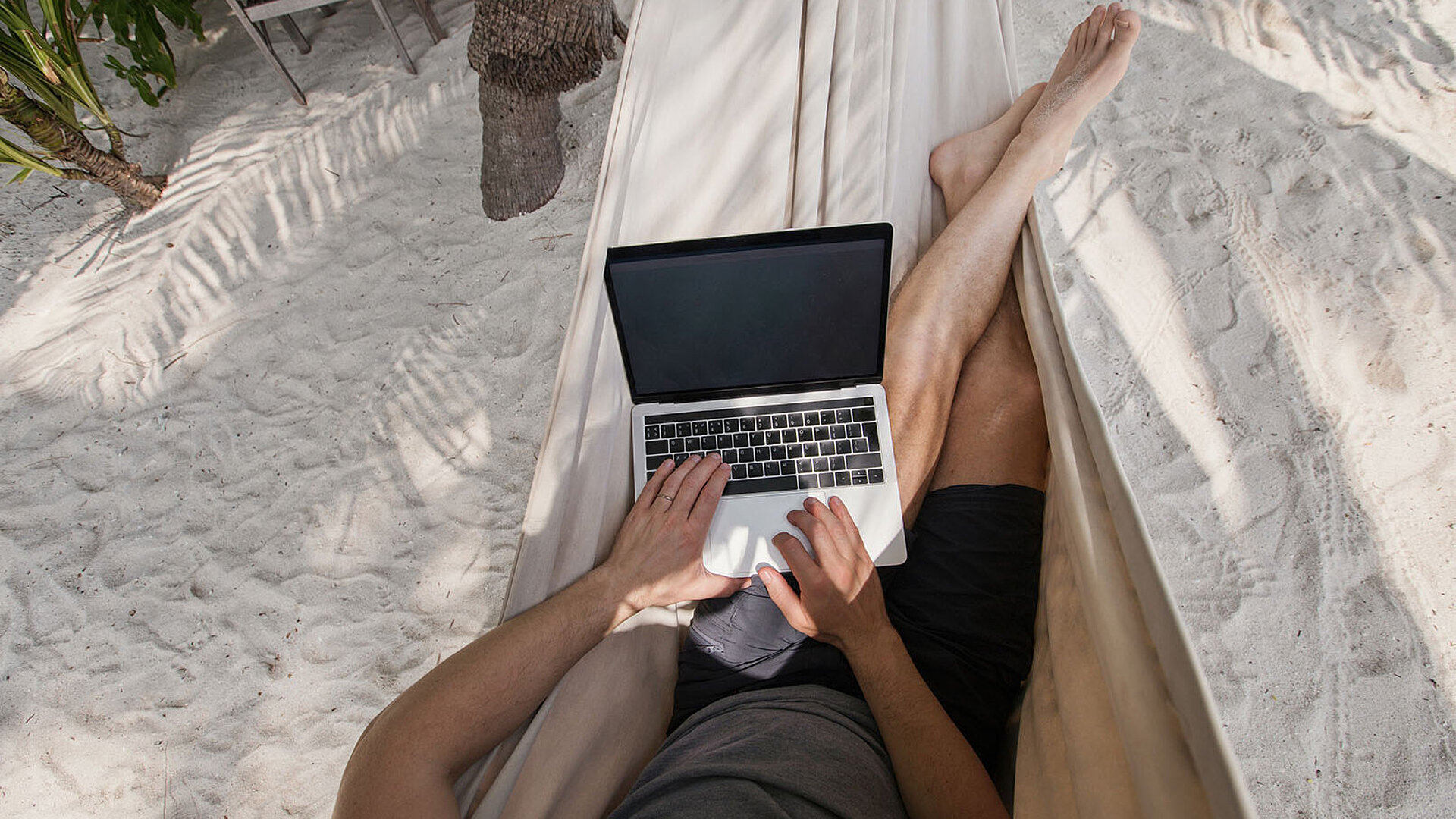 © Song about summer - AdobeStock.com Person arbeitet entspannt mit Laptop in einer Hängematte am Strand unter Palmen.