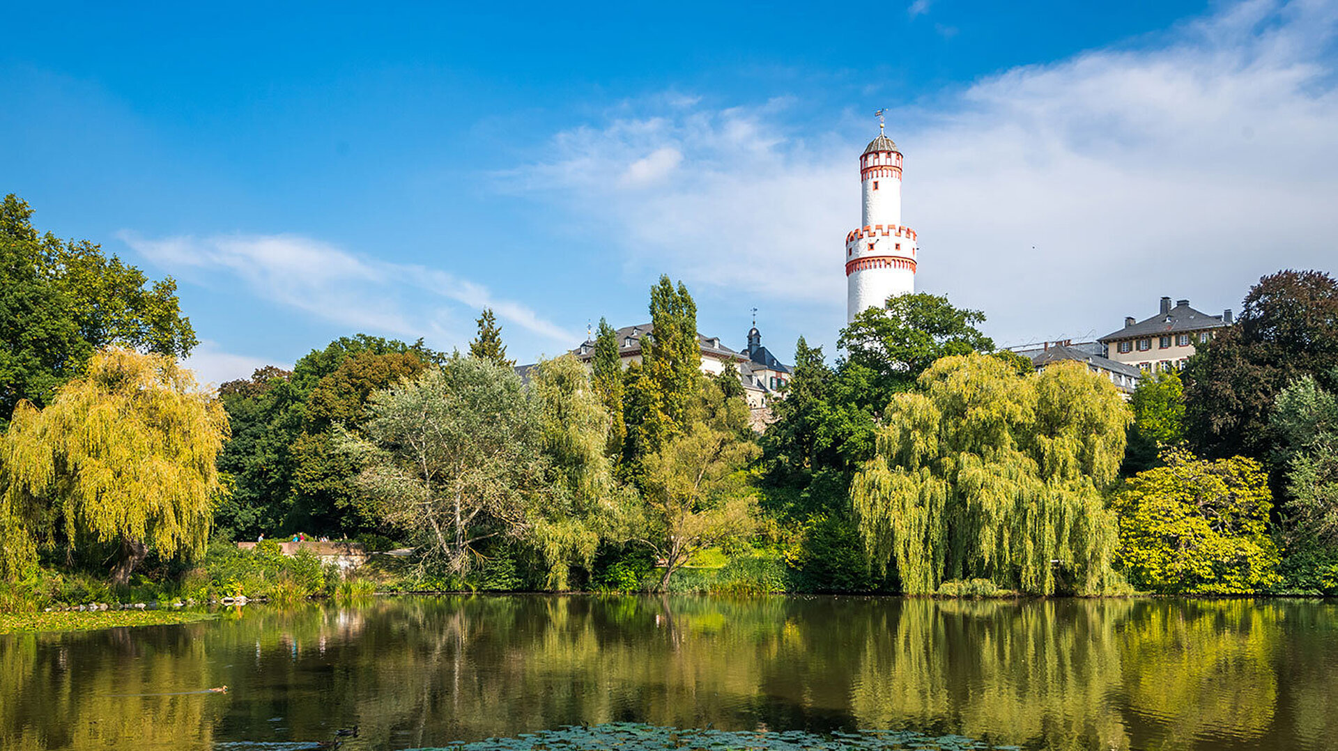 Bad Homburg © Sina Ettmer - AdobeStock.com Blick über den Kurpark in Bad Homburg mit Seerosenteich, üppigem Grün und dem Weißen Turm im Hintergrund.