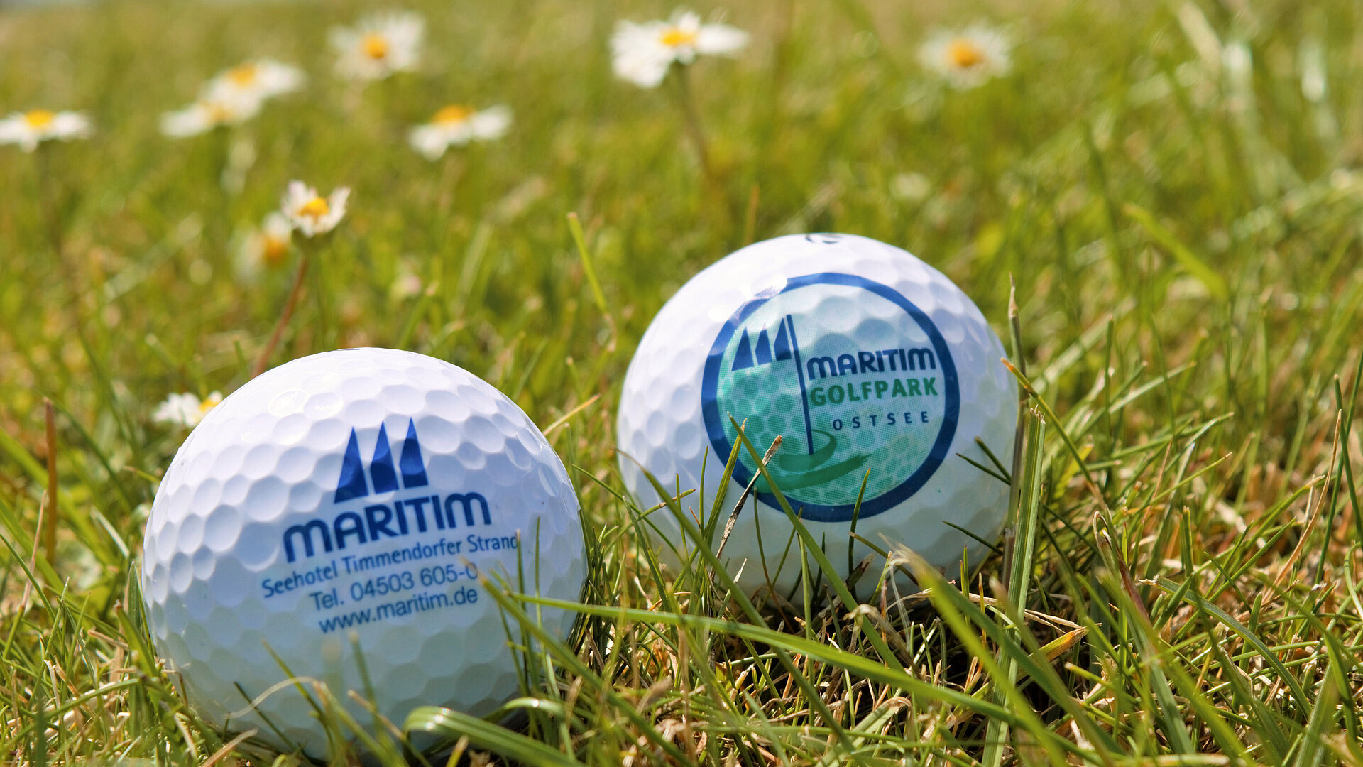 Golfbälle Golfbälle mit Maritim Logo auf einer Wiese zwischen Gänseblümchen auf dem Golfplatz