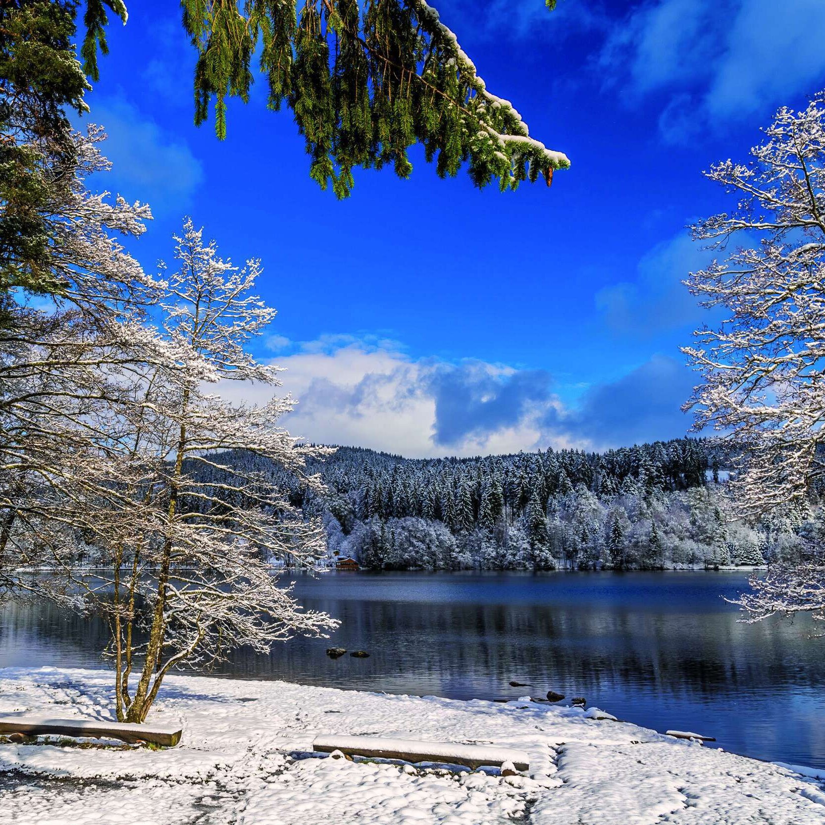 Winter am Titisee | Maritim Hotel Titisee