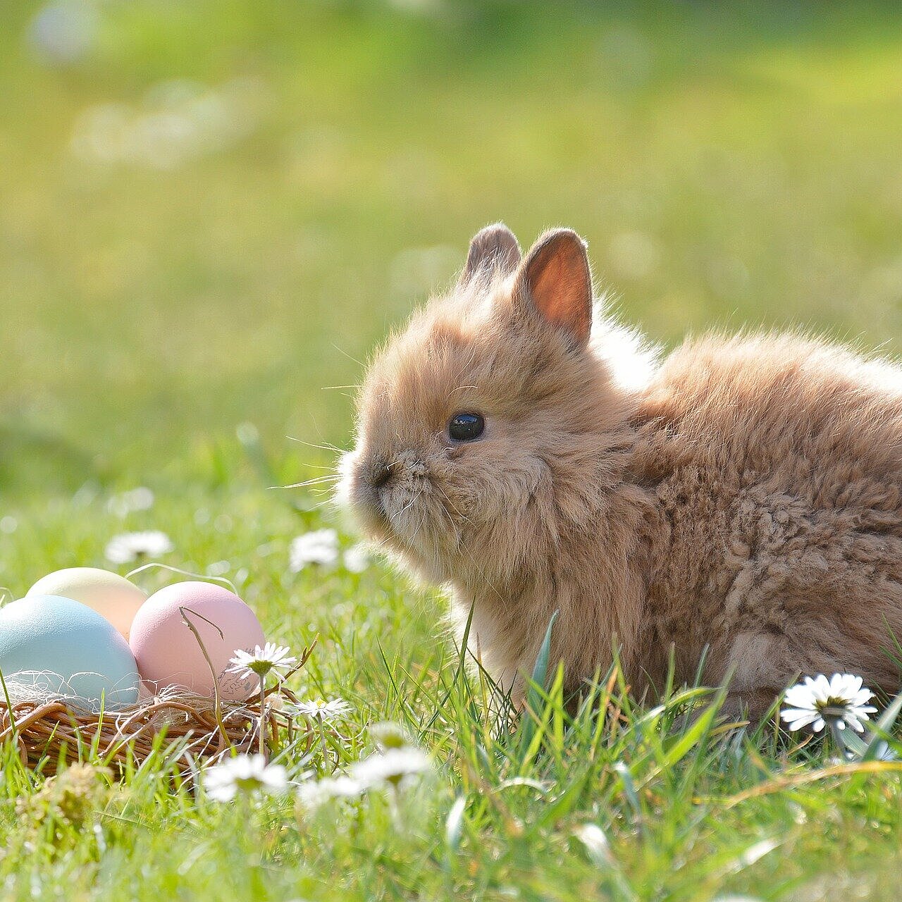 Ostern