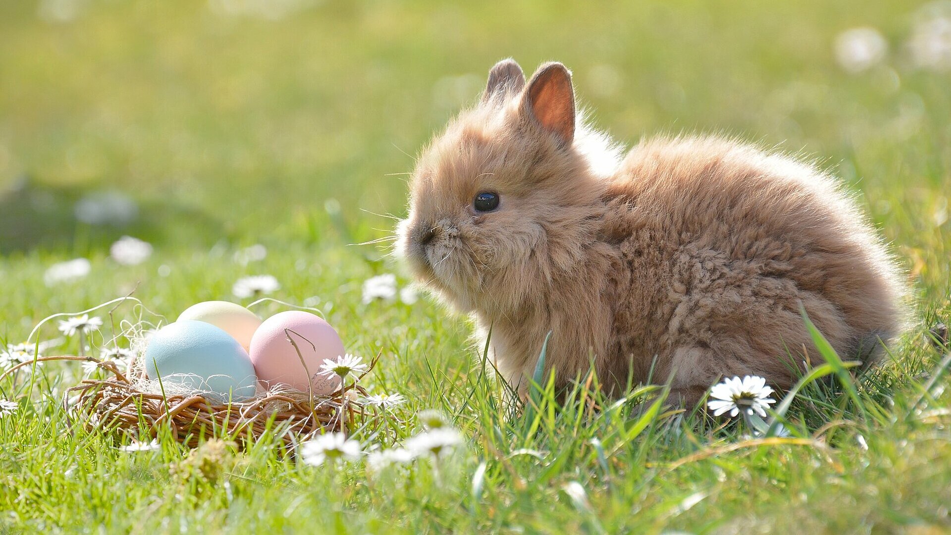 Ostern