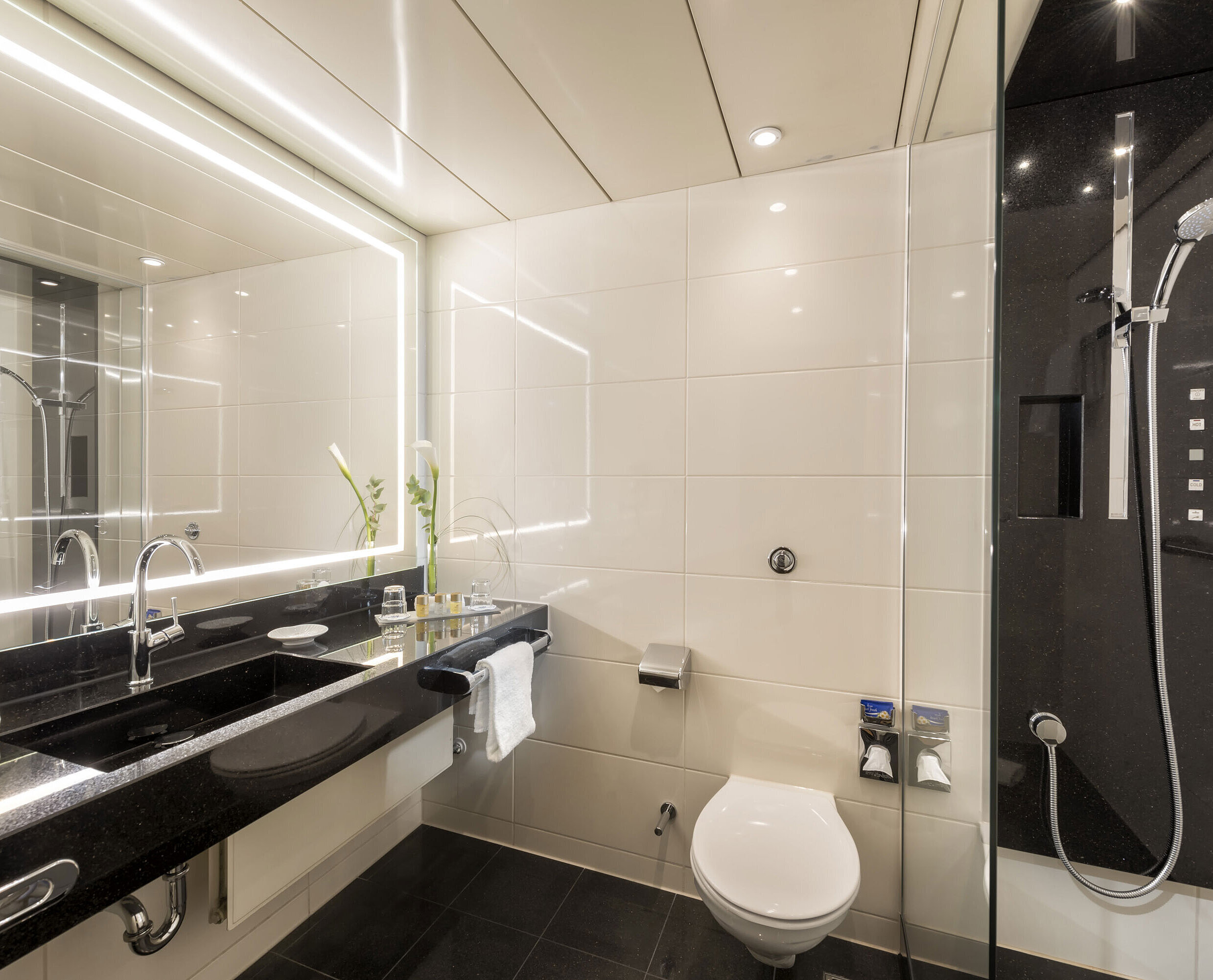Modernes Badezimmer mit geräumiger Dusche, elegantem Waschbecken und hochwertigen Pflegeprodukten im Maritim Hotel Bonn.