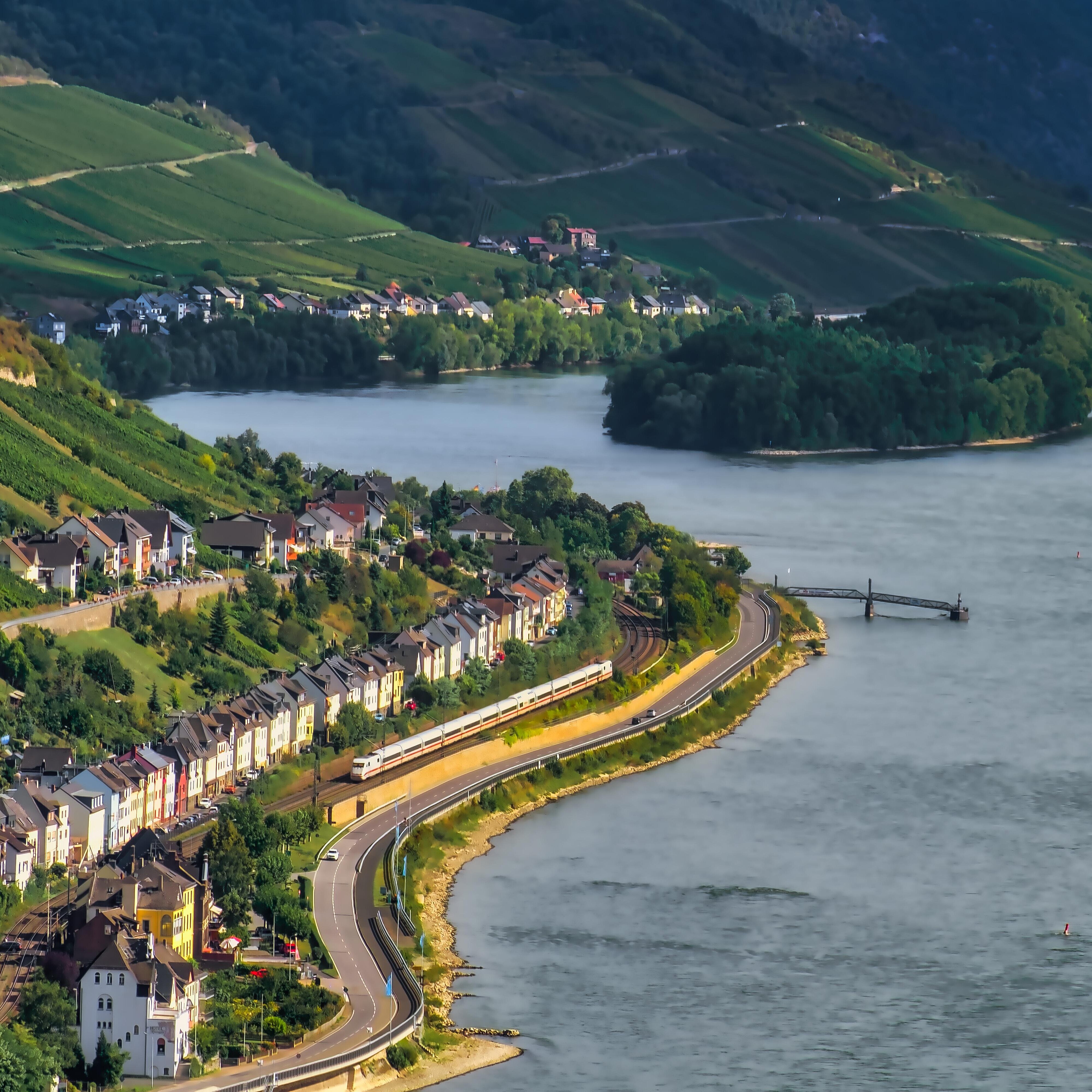 Panorama des Rheintals mit Rhein, Weinbergen und Ortschaften entlang des Flussufers.