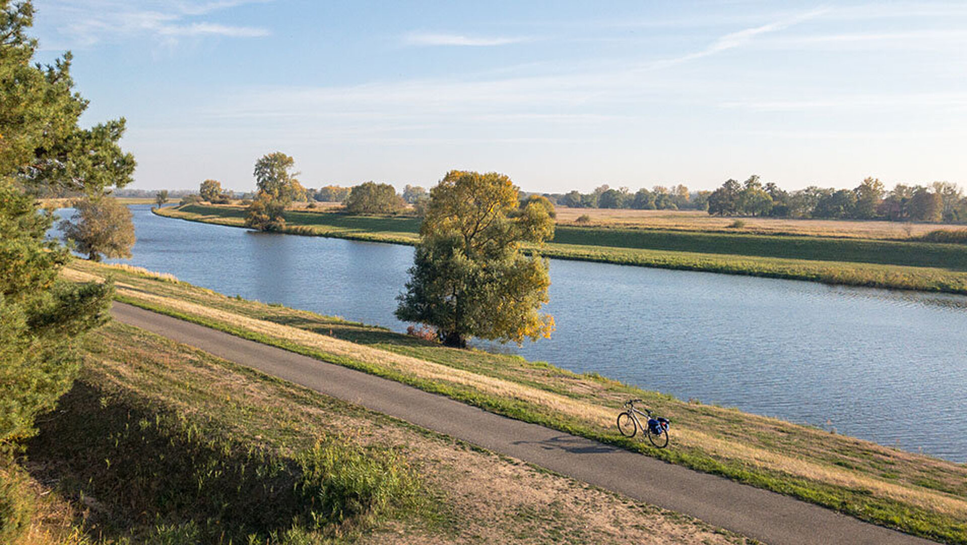 Radfahrer auf einem Weg entlang der Donau bei Ulm mit grünen Ufern und ruhigem Fluss.