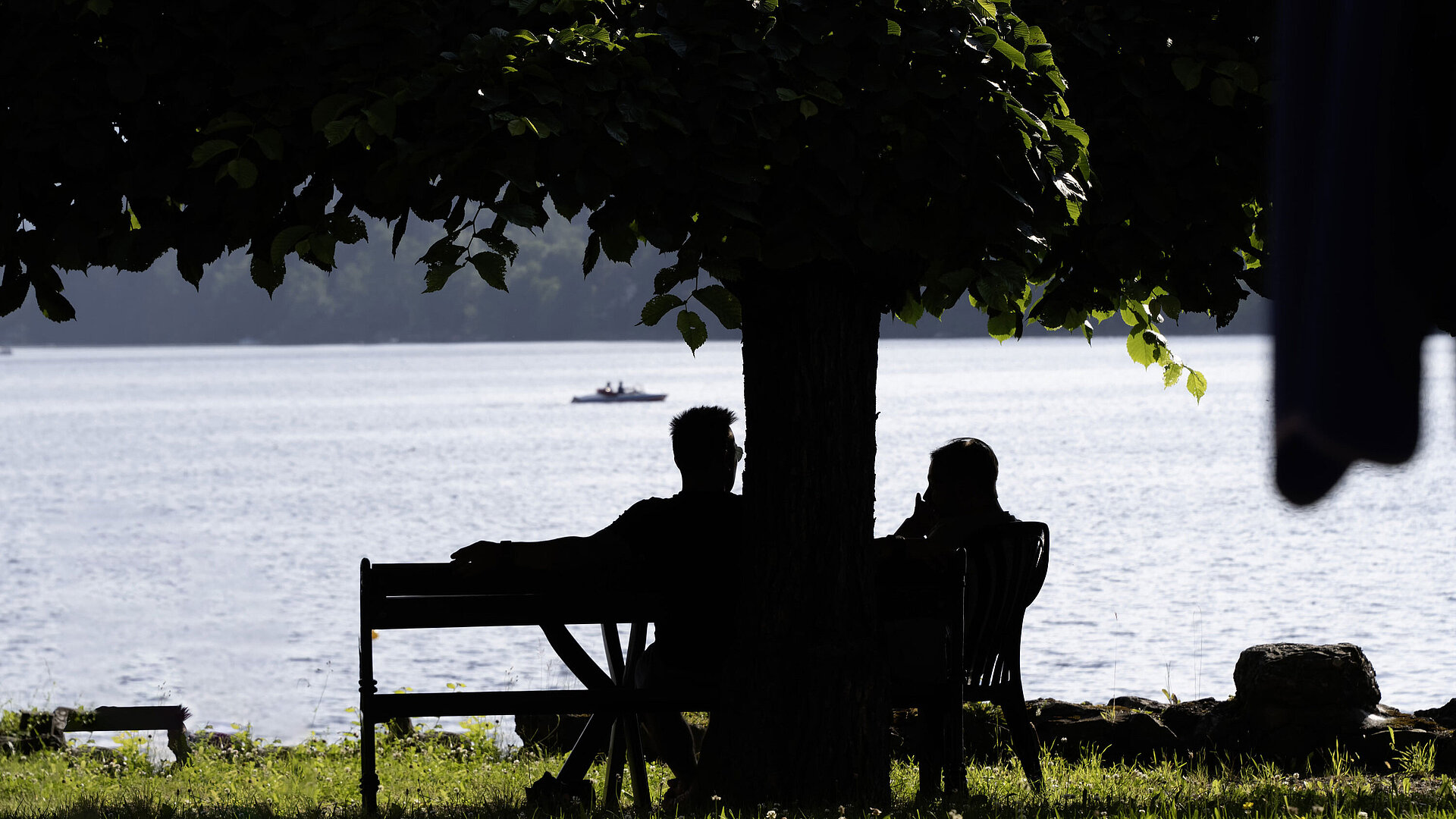 Biergarten Zwei Personen sitzen entspannt unter einem Baum am Ufer des Titisees im Schatten