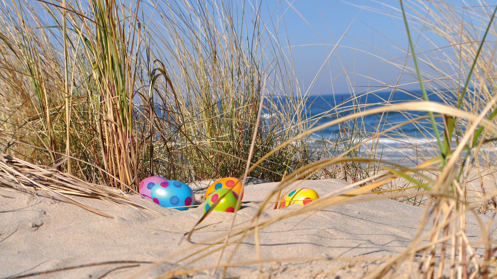 © textag - Fotolia.com © textag - Fotolia.com