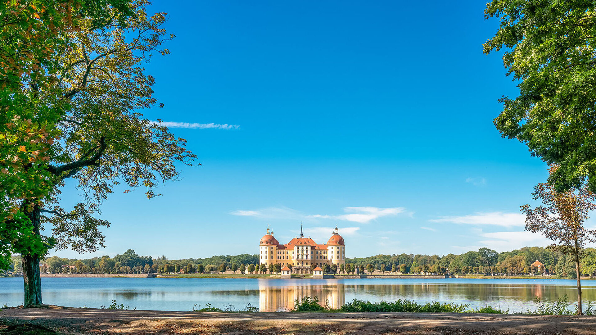 © stylefoto24 - AdobeStock.com Schloss Moritzburg bei Dresden spiegelt sich im See, umrahmt von Bäumen, beliebtes Fotomotiv und Ausflugsziel