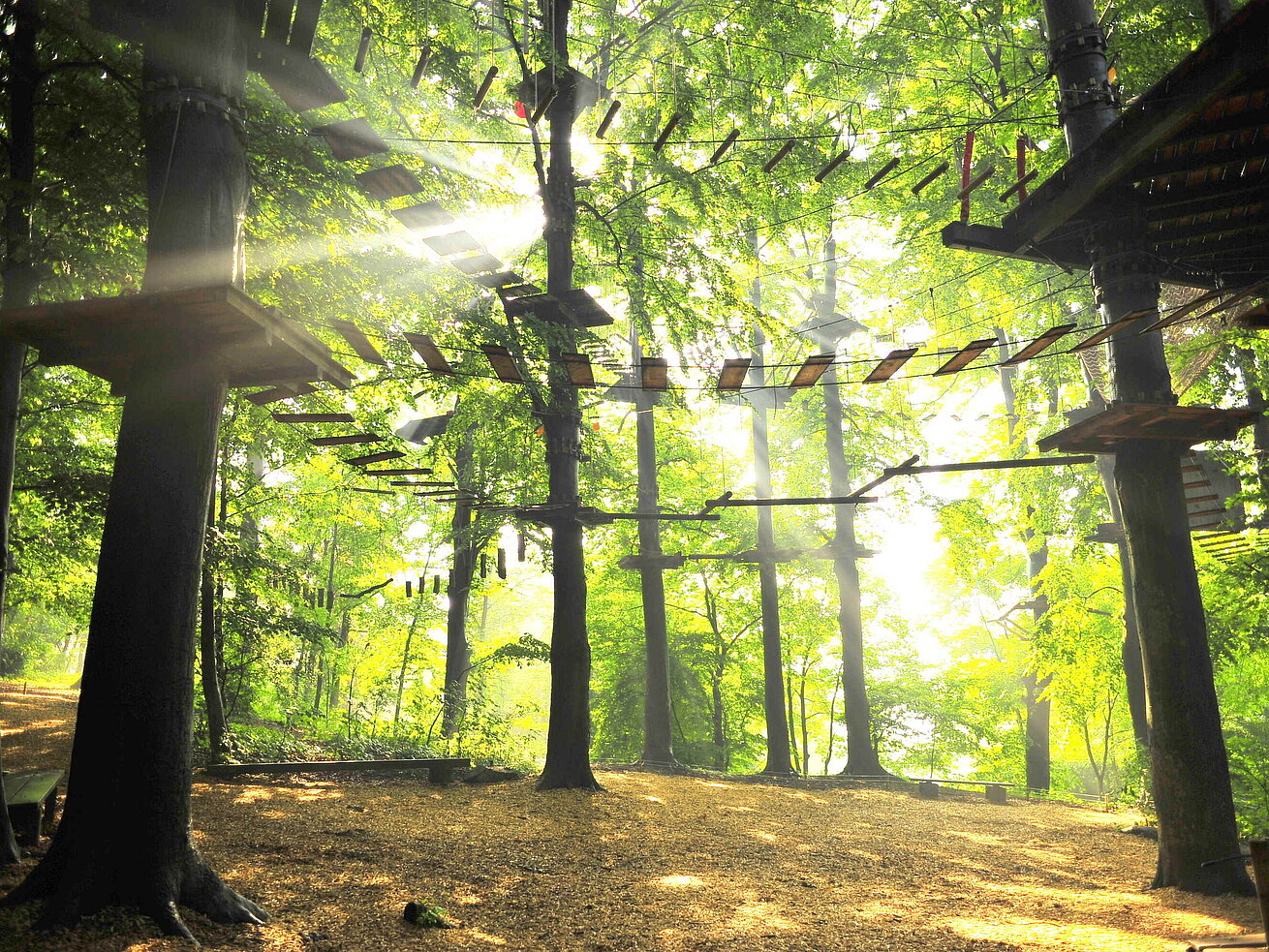 High Spirits Hochseilgarten im Wald mit Kletterparcours zwischen Bäumen im Sonnenlicht