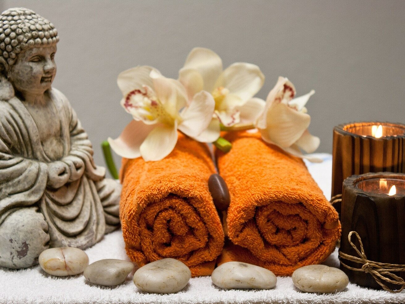 Wellness Wellness