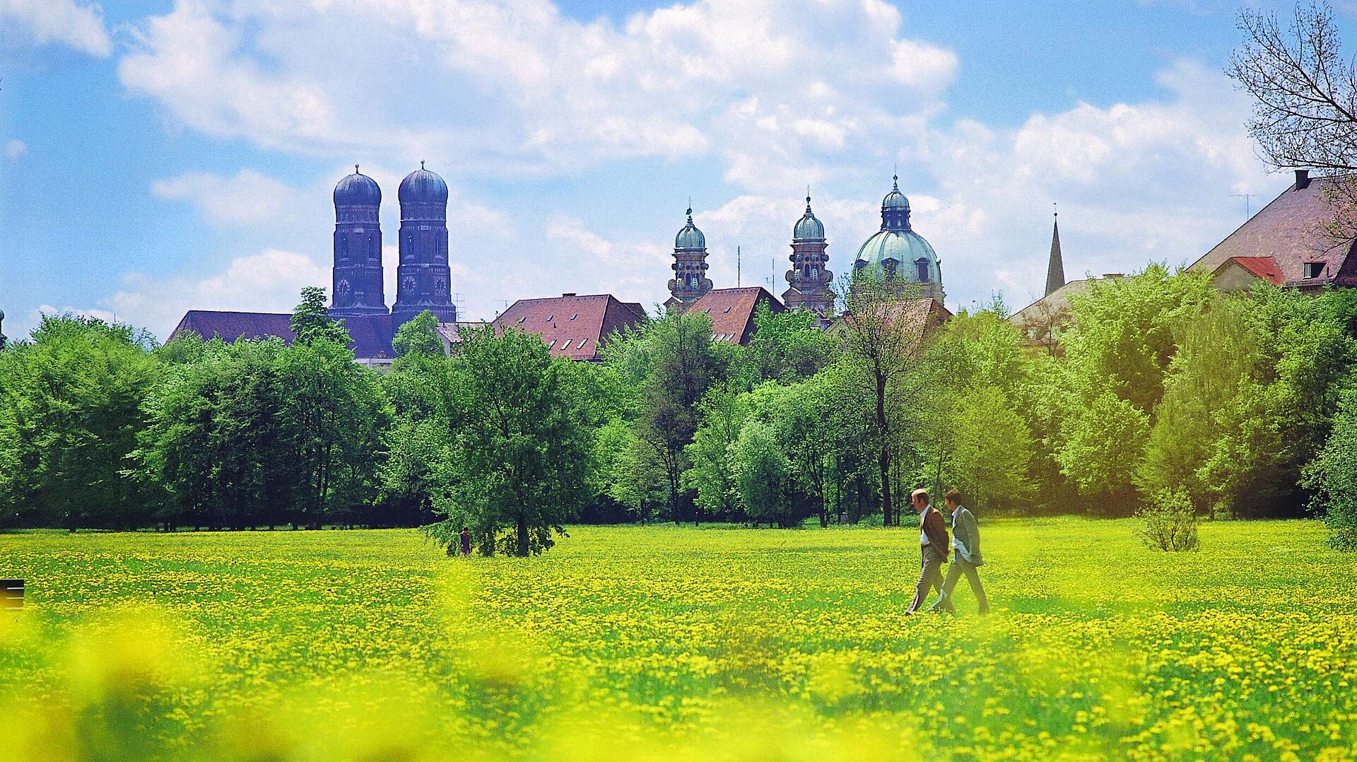 Grünes Feld mit Löwenzahn und Blick auf Münchens Altstadt mit Frauenkirche bei Frühlingswetter