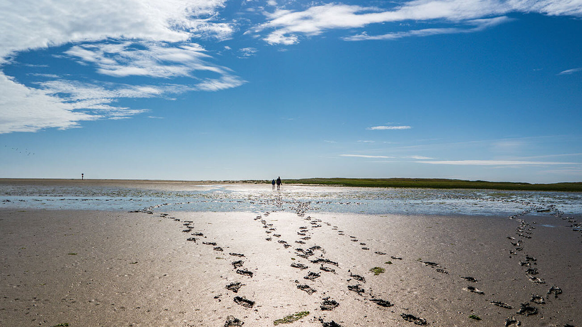 © Animaflora PicsStock - AdobeStock.com Nordsee mit Fußspuren im Wattenmeer