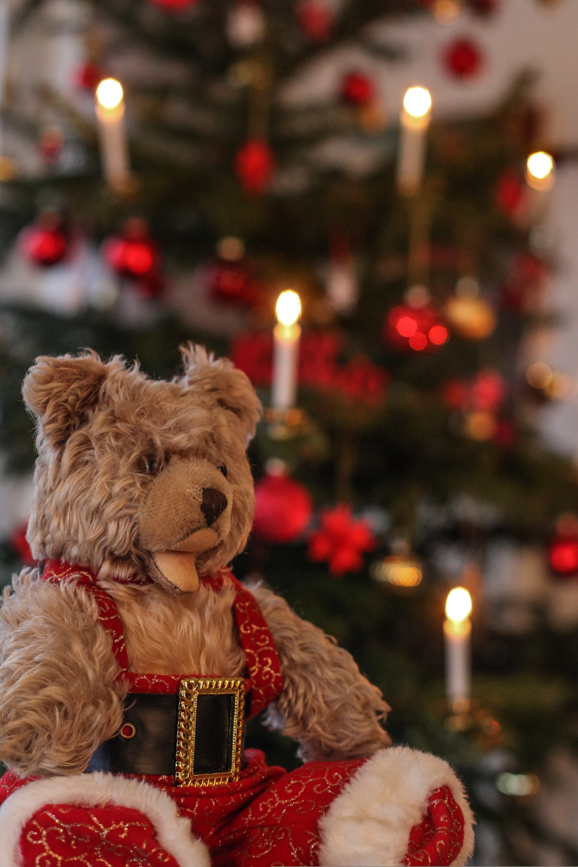 Steiff Teddybär zur Weihnachtszeit Steiff Teddybär vor festlich geschmücktem Weihnachtsbaum mit Kerzen